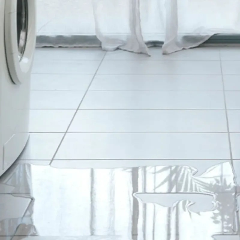 Appliance Leak Cleanup in Forestville, MD